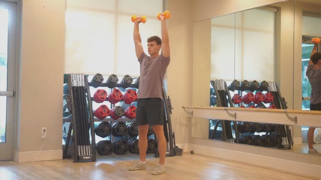 Illustration of the Dumbbell Overhead Squat