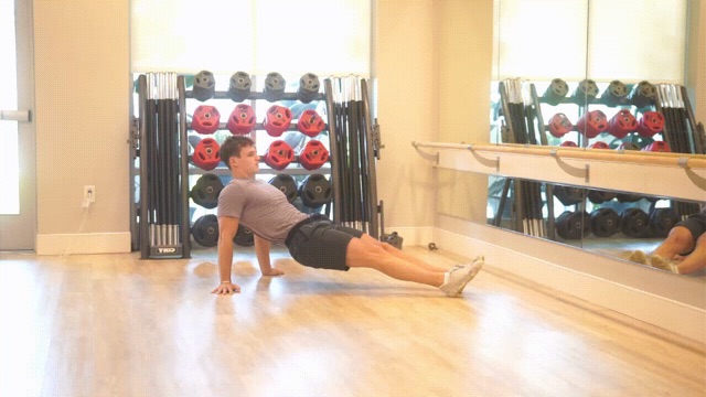 Illustration of the Reverse Plank Dips