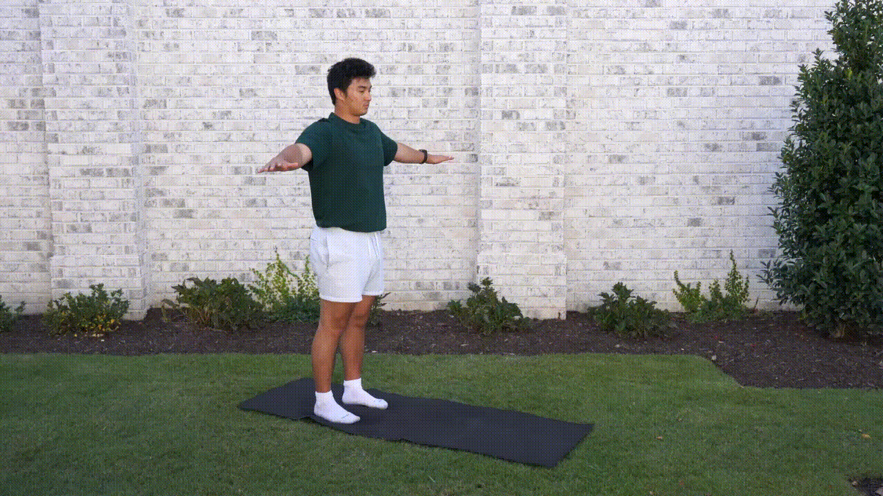 Animated demonstration of the Arm Circles