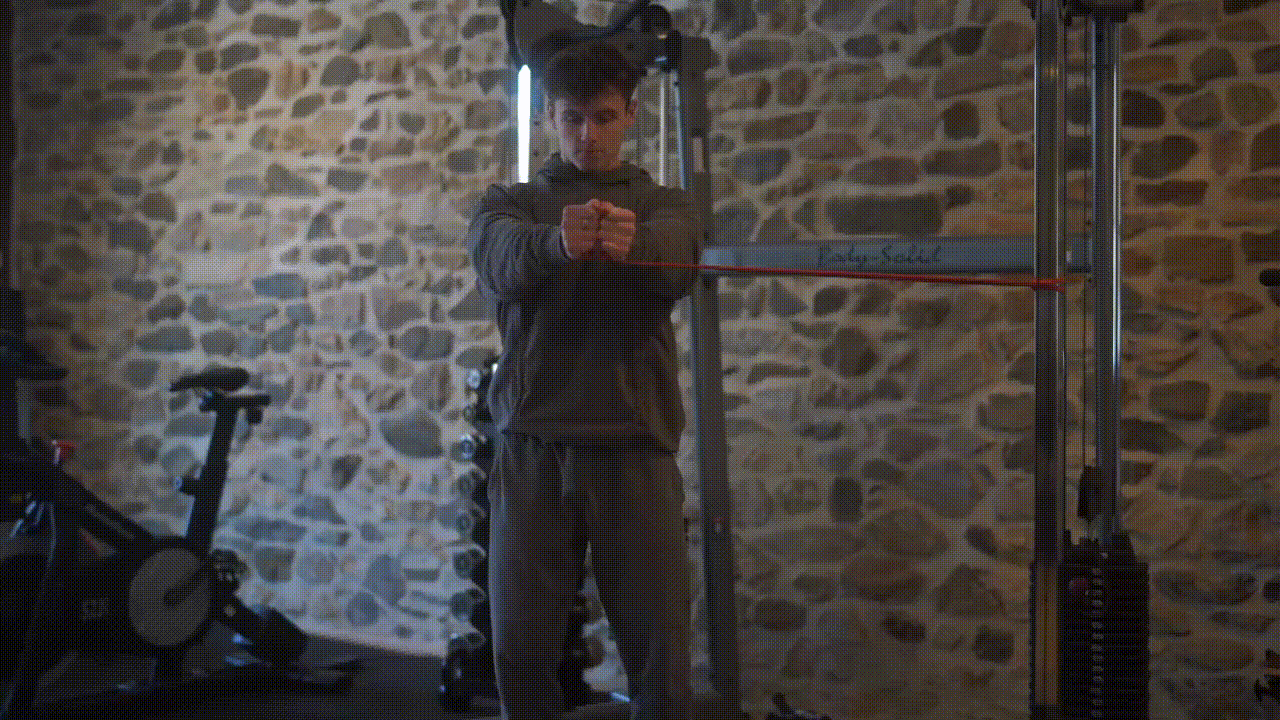 Animated demonstration of the Resistance Band Pallof Press