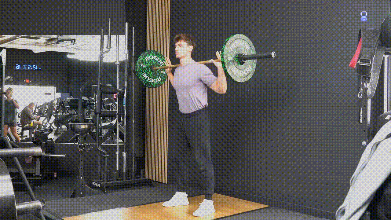 Animated demonstration of the Barbell Squat