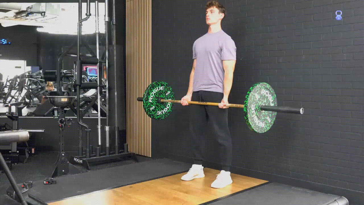 Animated demonstration of the Barbell Bicep Curl