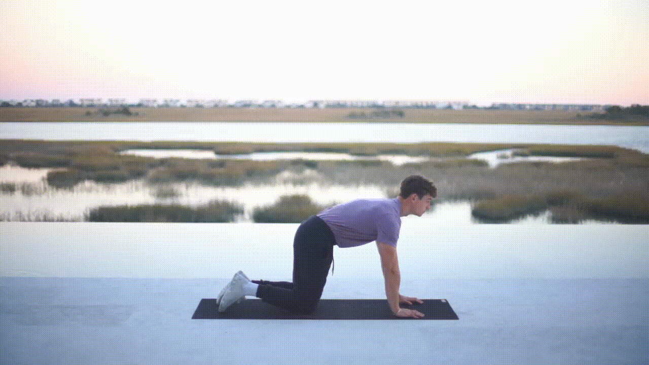 Animated demonstration of the Bird Dogs