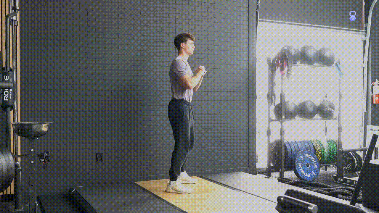 Animated demonstration of the Squat