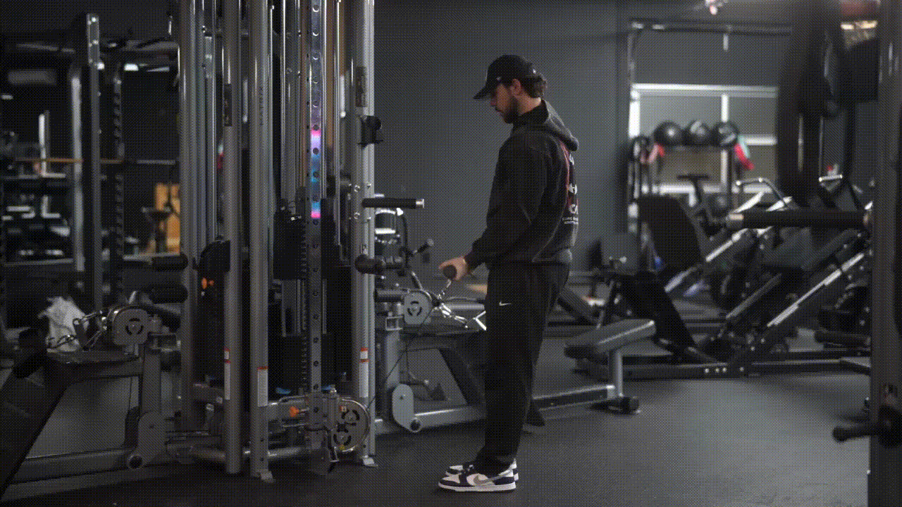Animated demonstration of the Cable Bicep Curl