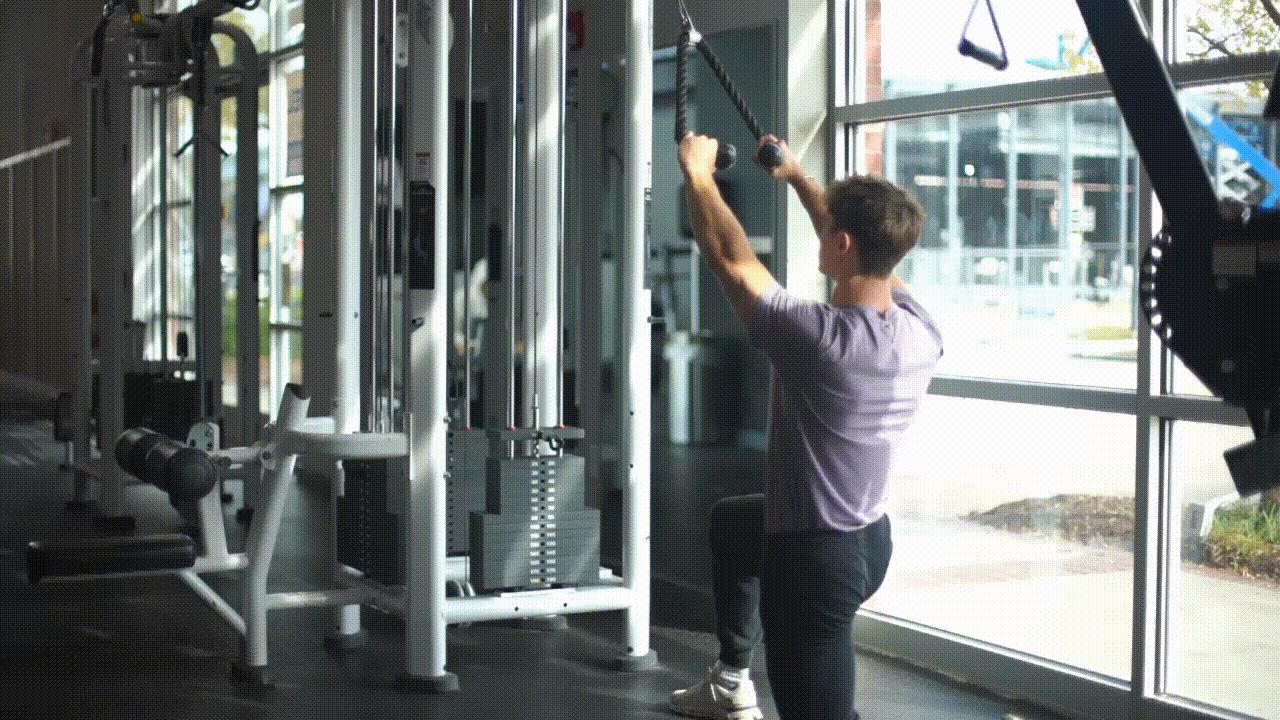 Animated demonstration of the Cable Face Pull