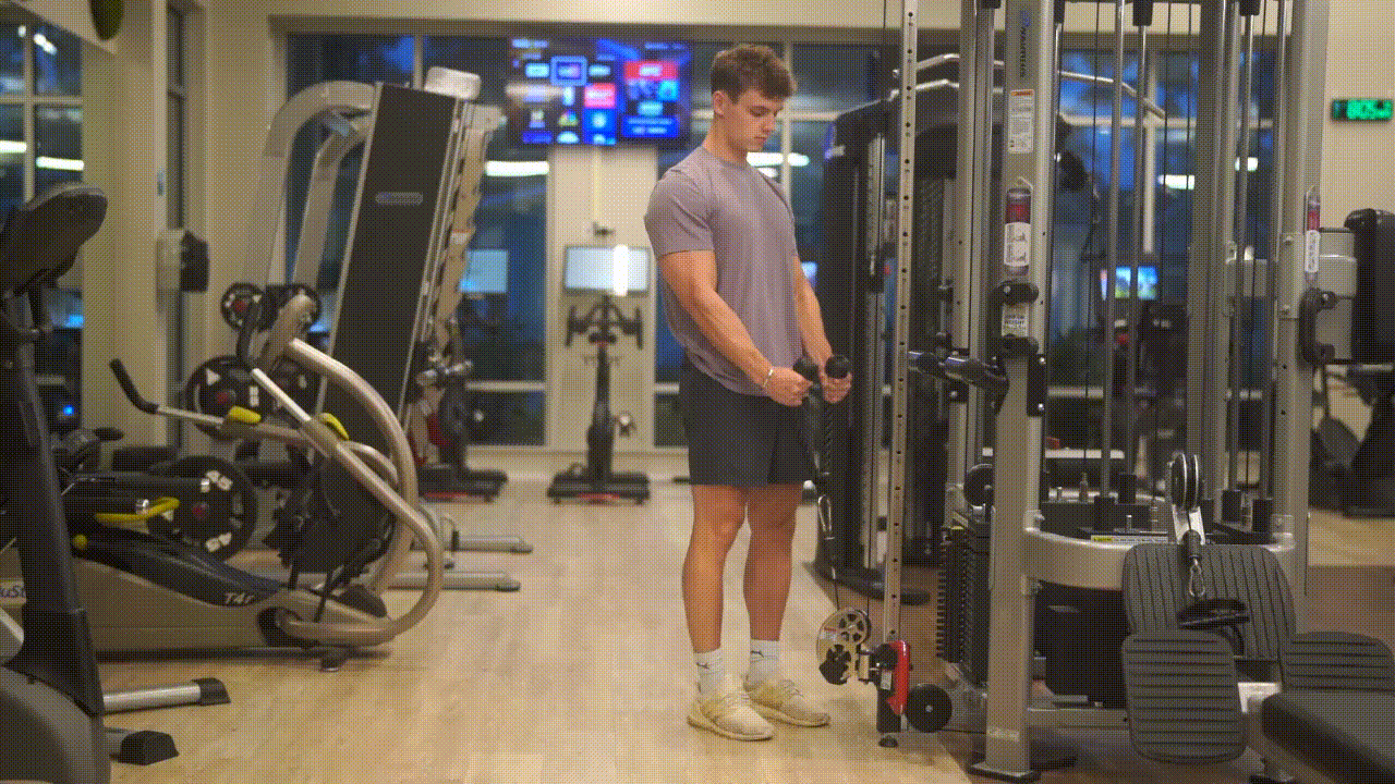 Animated demonstration of the Cable Hammer Curl