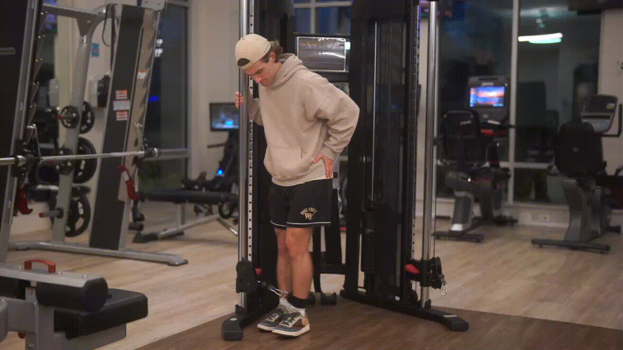 Animated demonstration of the Cable Hip Abduction