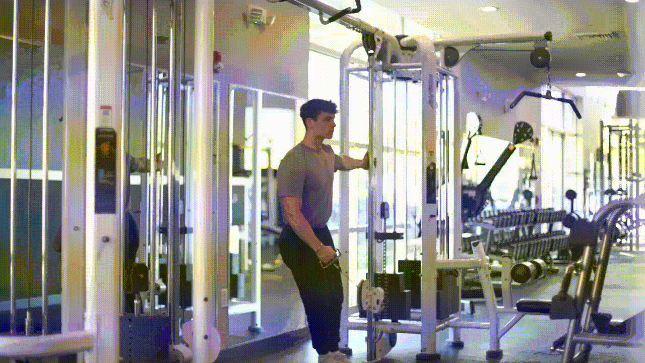 Animated demonstration of the Cable Lateral Raise