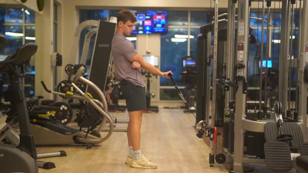 Animated demonstration of the Single Arm Bicep Curl