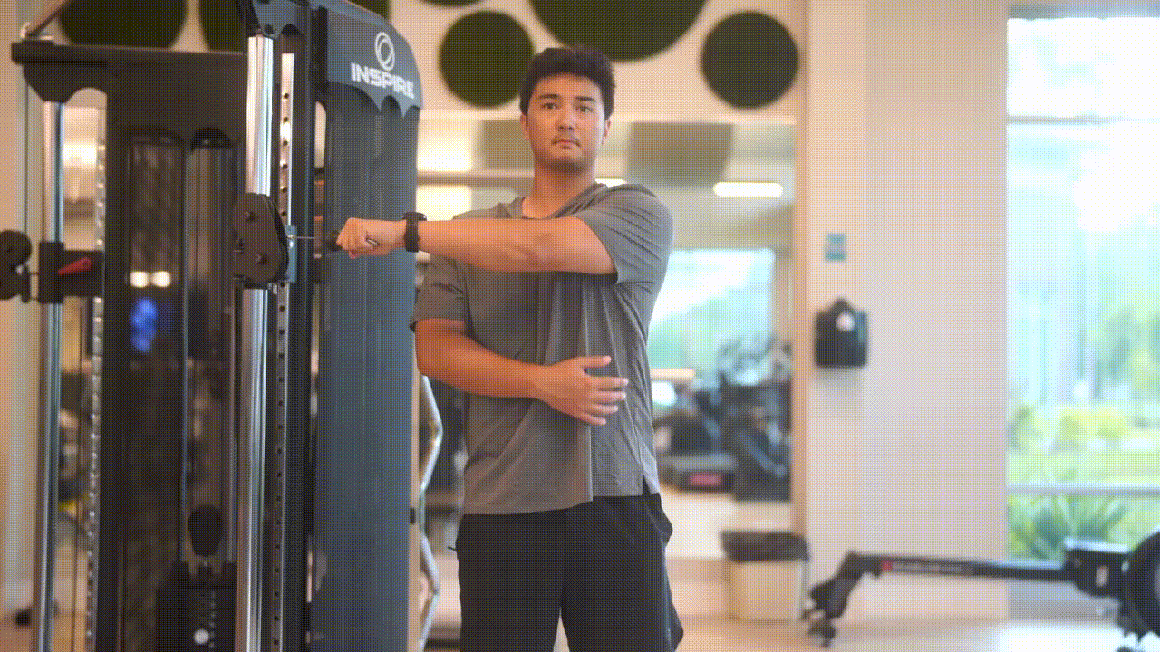 Animated demonstration of the Single Arm Reverse Fly
