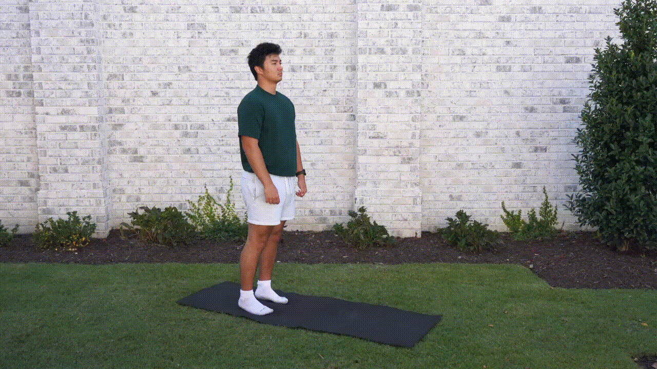 Animated demonstration of the Calf Raises with Hold