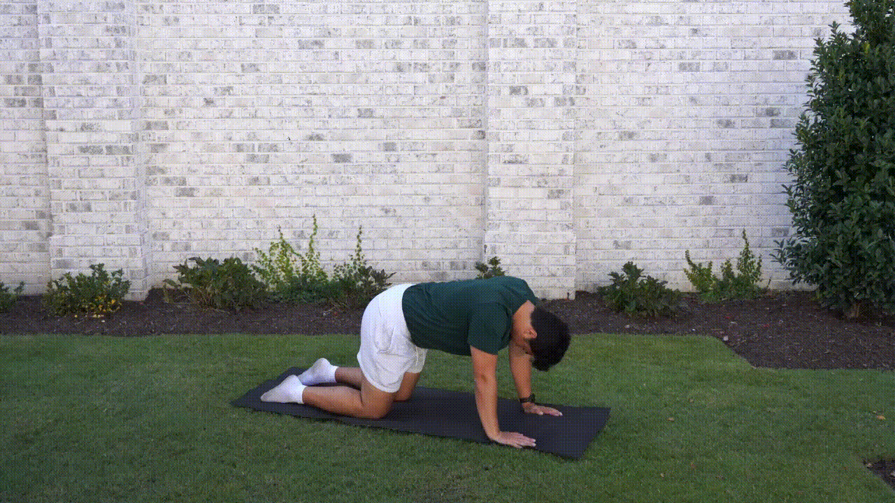 Animated demonstration of the Cat-cow Stretch