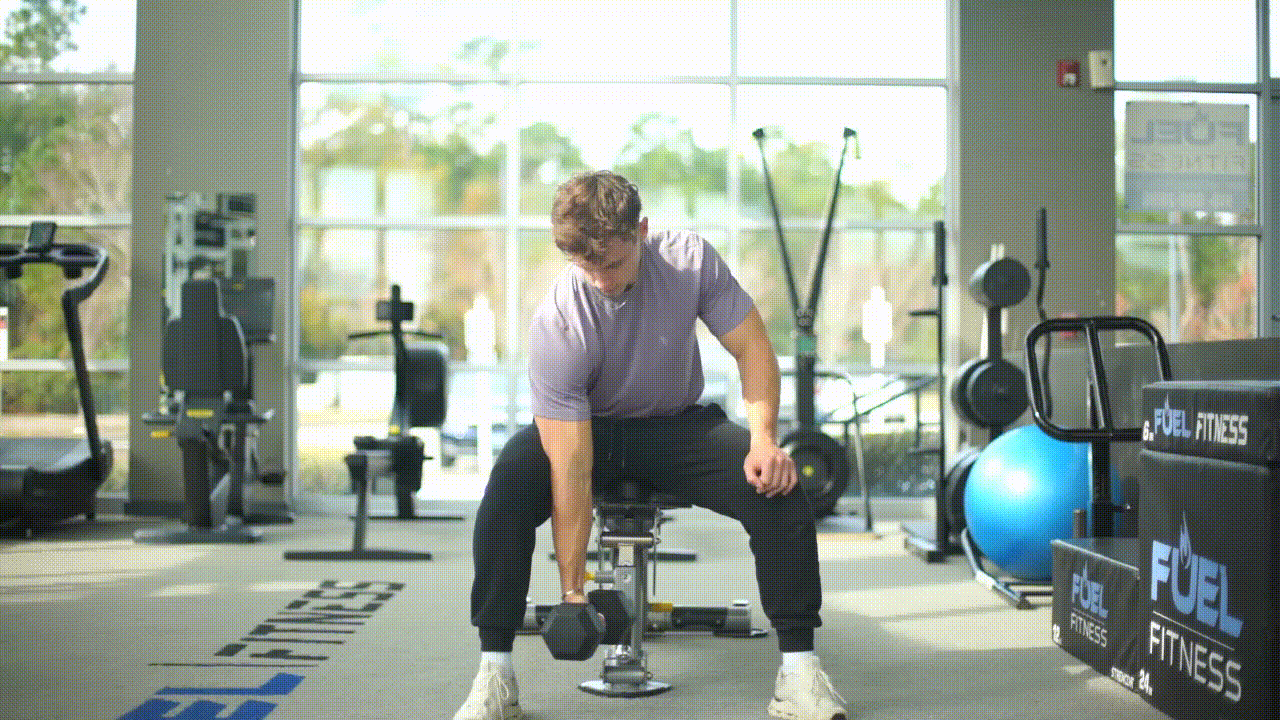Animated demonstration of the Concentration Curl