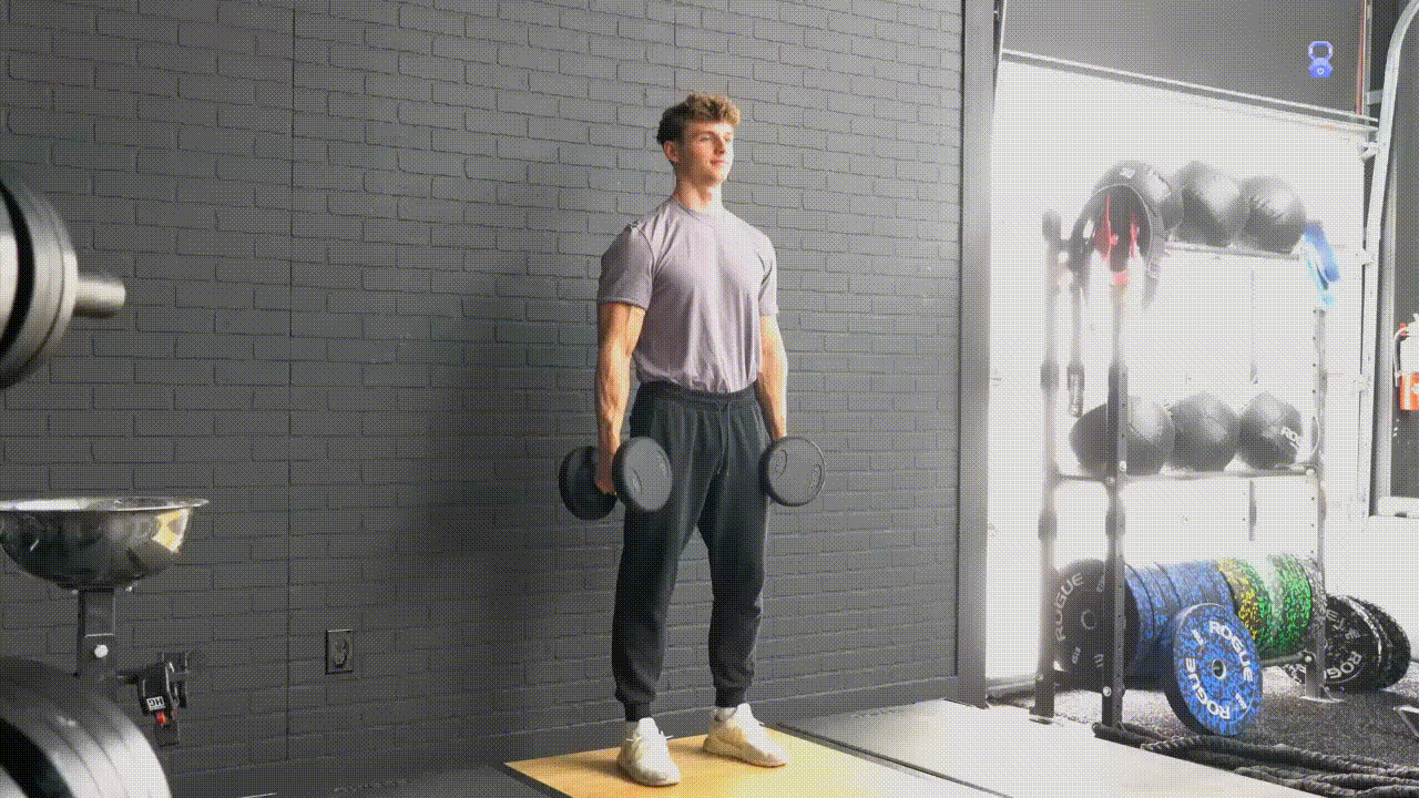 Animated demonstration of the Cross Body Hammer Curl