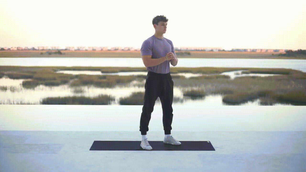 Animated demonstration of the Deep Squat Hold