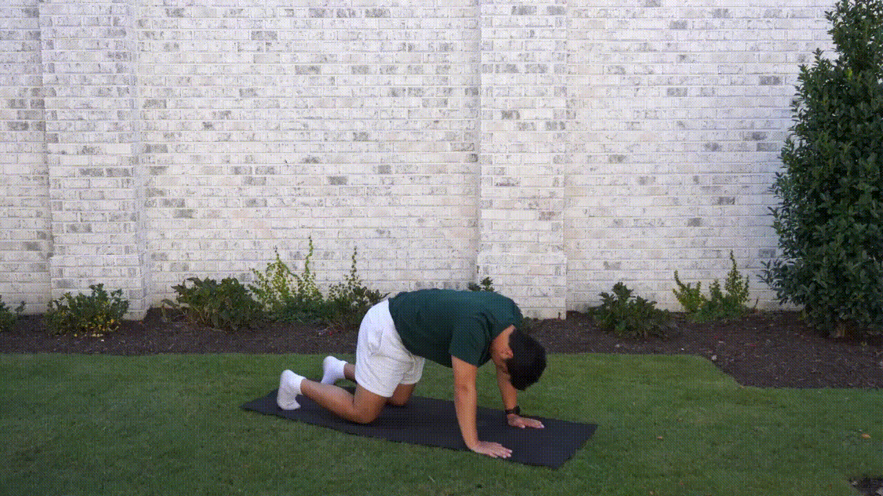 Animated demonstration of the Downward Dog