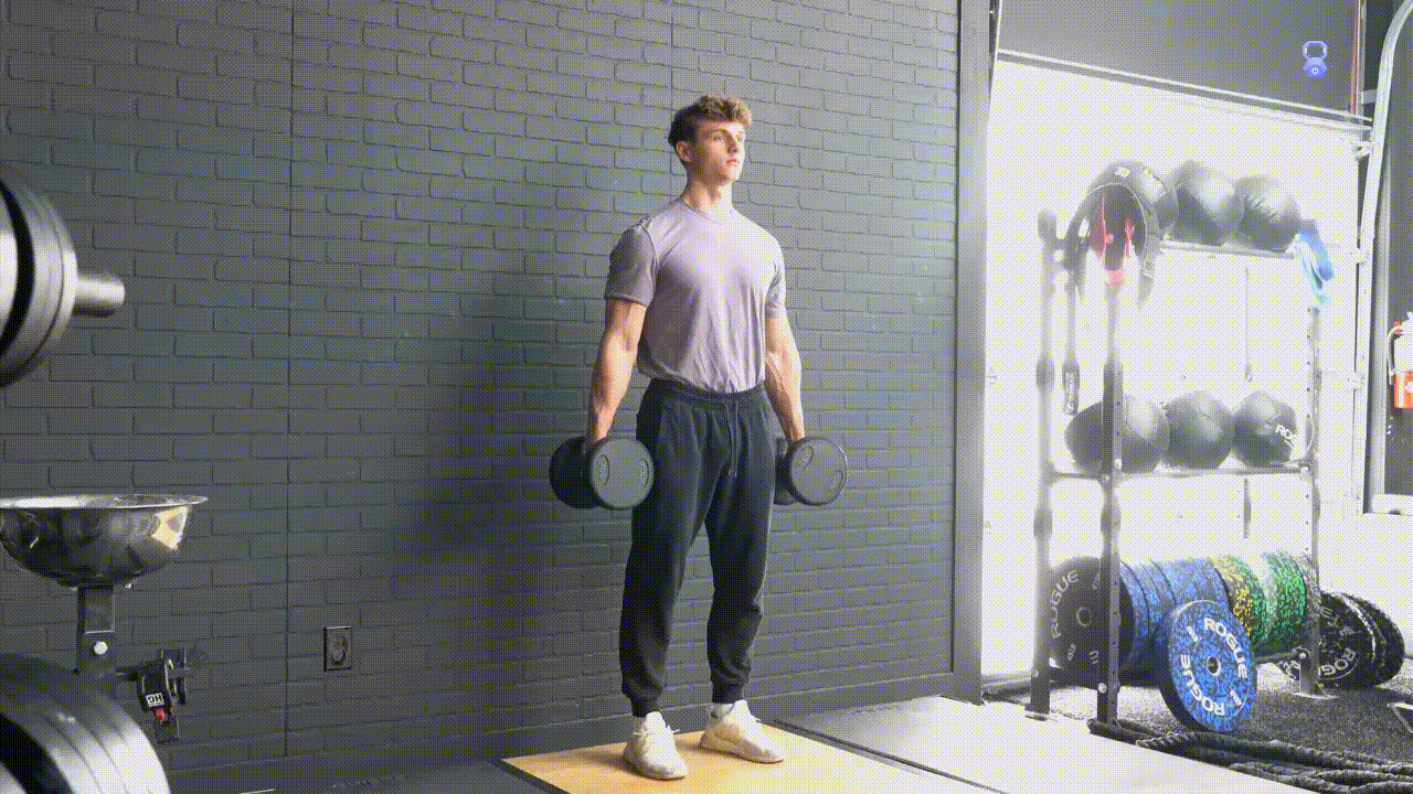 Animated demonstration of the Dumbbell Bicep Curl