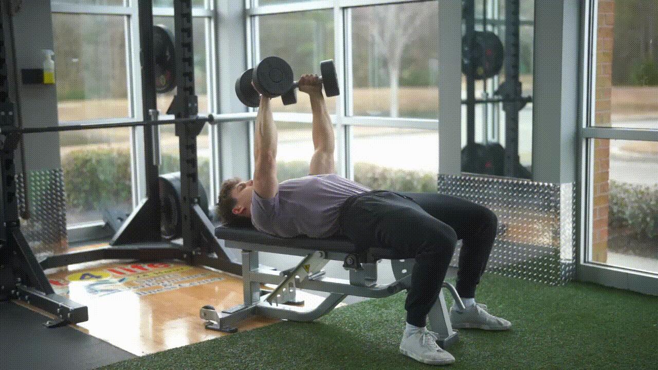 Animated demonstration of the Dumbbell Chest Flyes