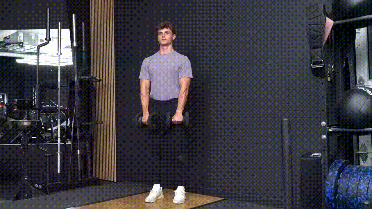 Animated demonstration of the Dumbbell Front Raise