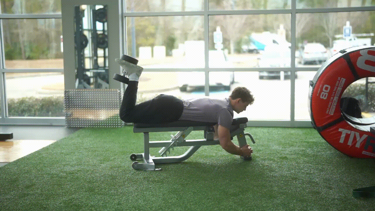 Animated demonstration of the Leg Curl