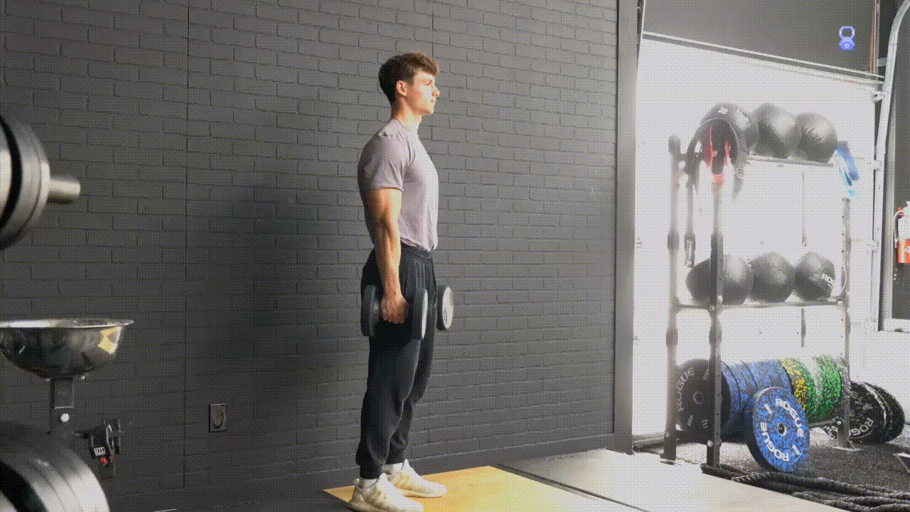 Animated demonstration of the Dumbbell Lunge