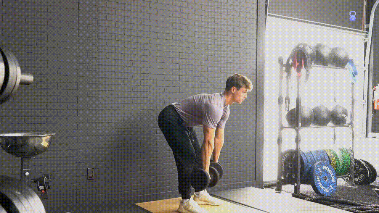 Animated demonstration of the Dumbbell Bent Over Row