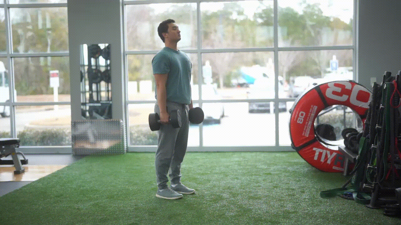 Animated demonstration of the Dumbbell Shrug