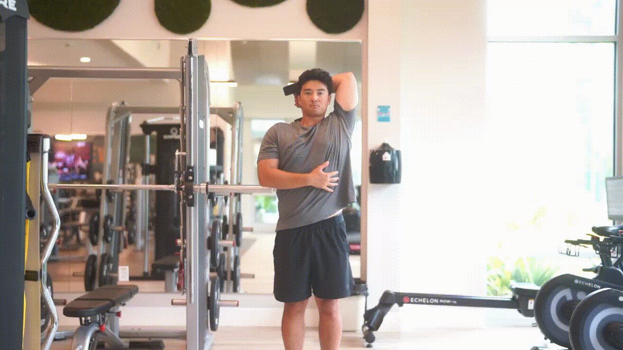 Animated demonstration of the Dumbbell Single Arm Tricep Extension