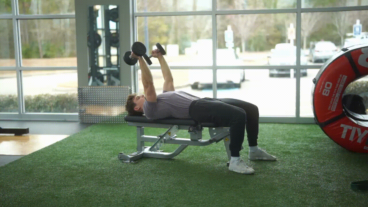 Animated demonstration of the Dumbbell Skull Crushers