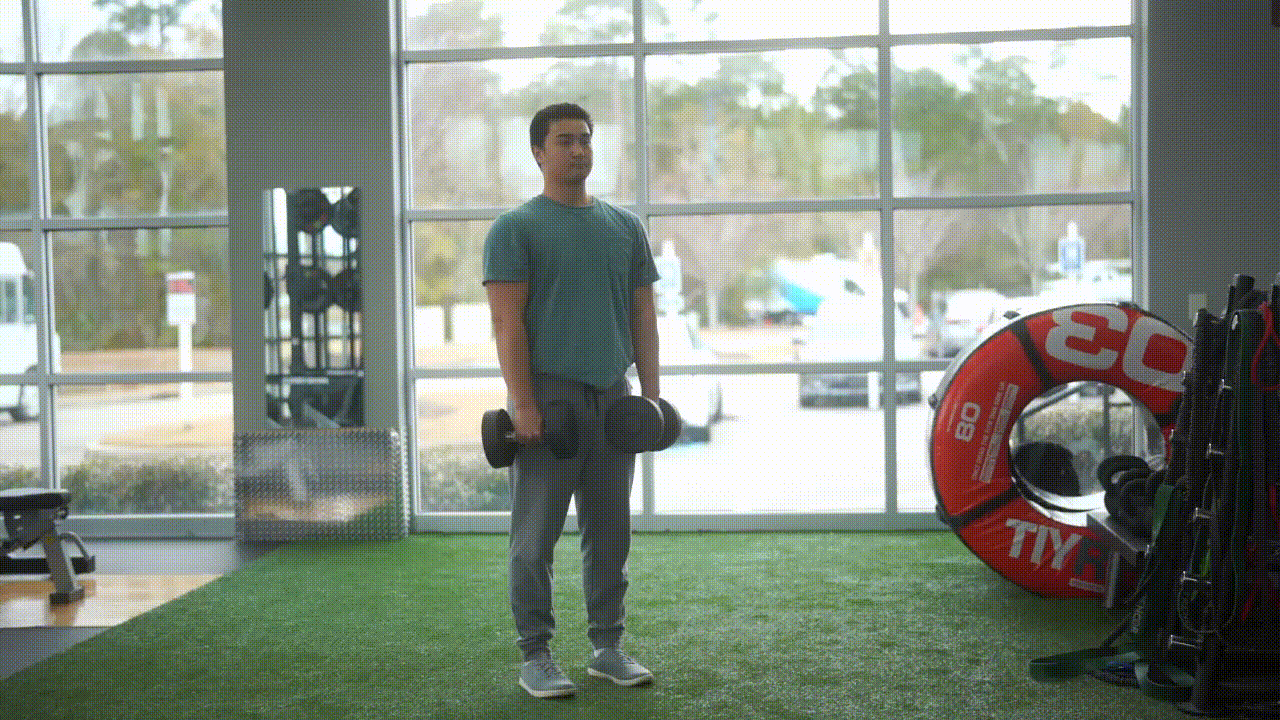 Animated demonstration of the Dumbbell Upright Row