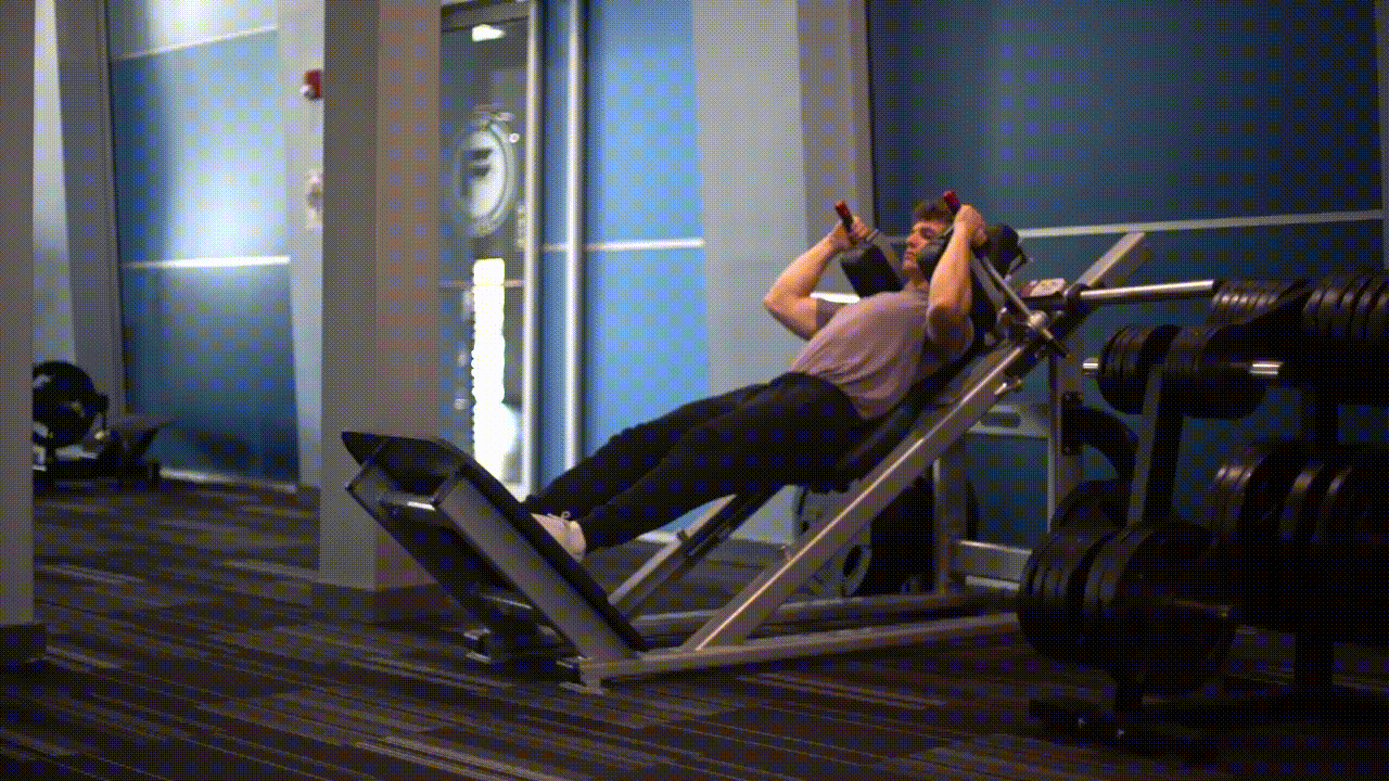 Animated demonstration of the Hack Squat