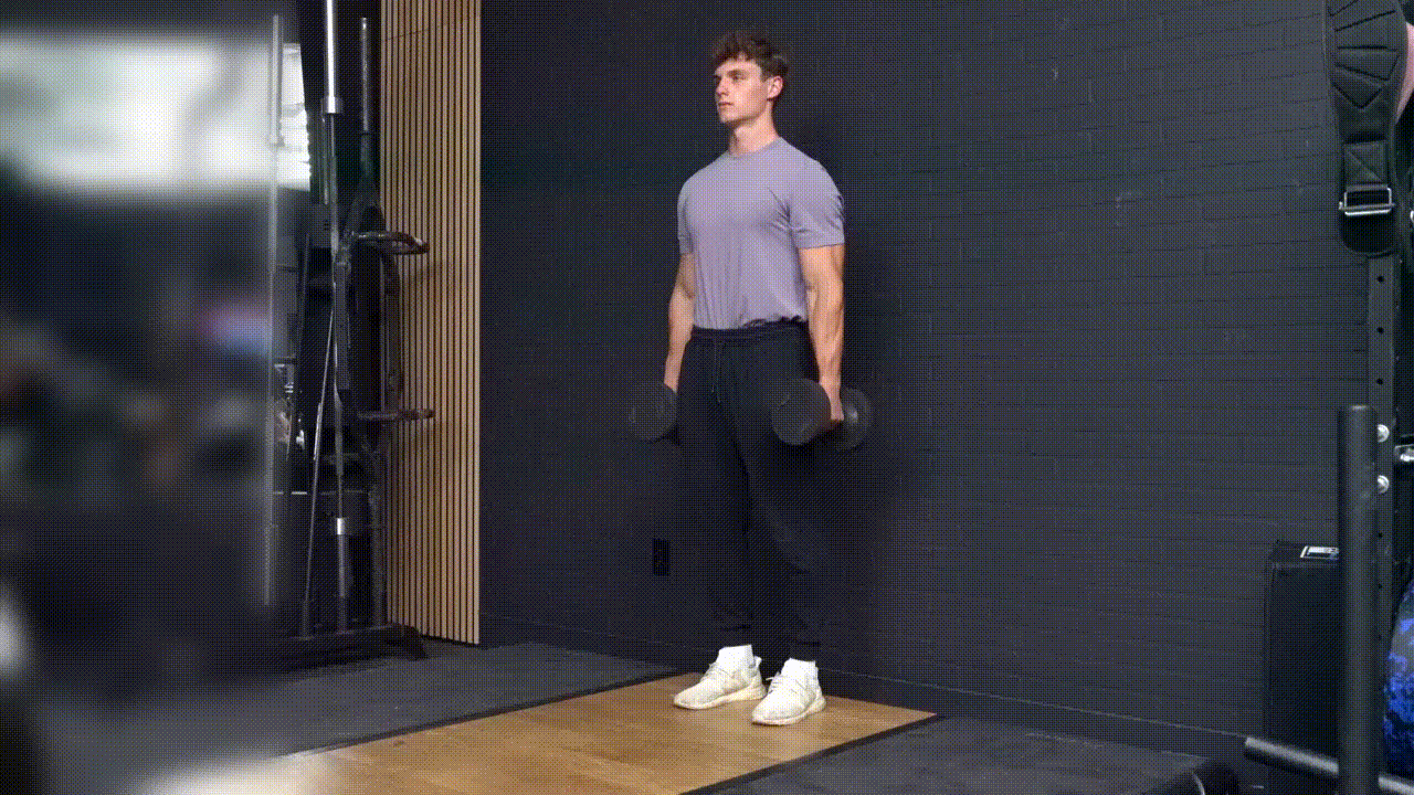 Animated demonstration of the Dumbbell Hammer Curl