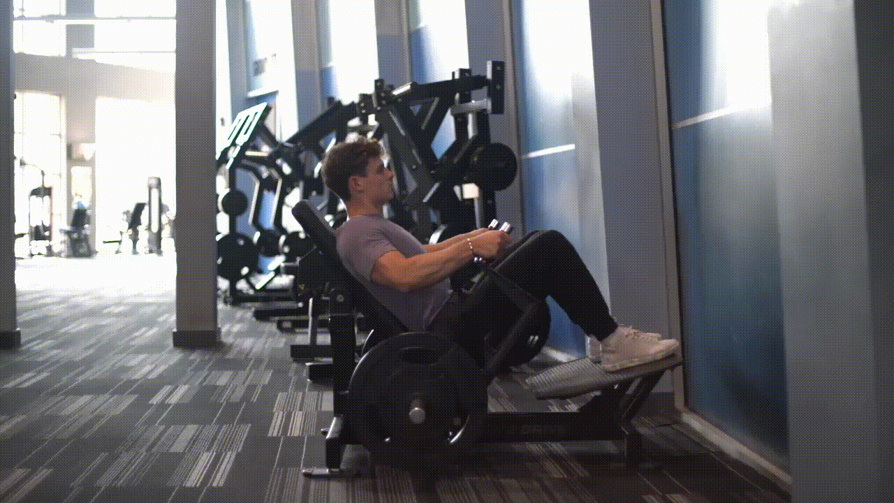Animated demonstration of the Leverage Machine Hip Thrust