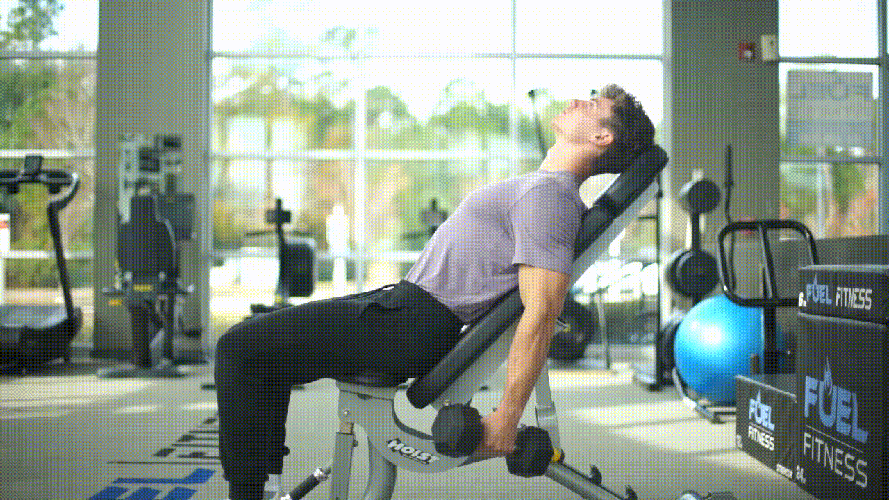 Animated demonstration of the Incline Curl