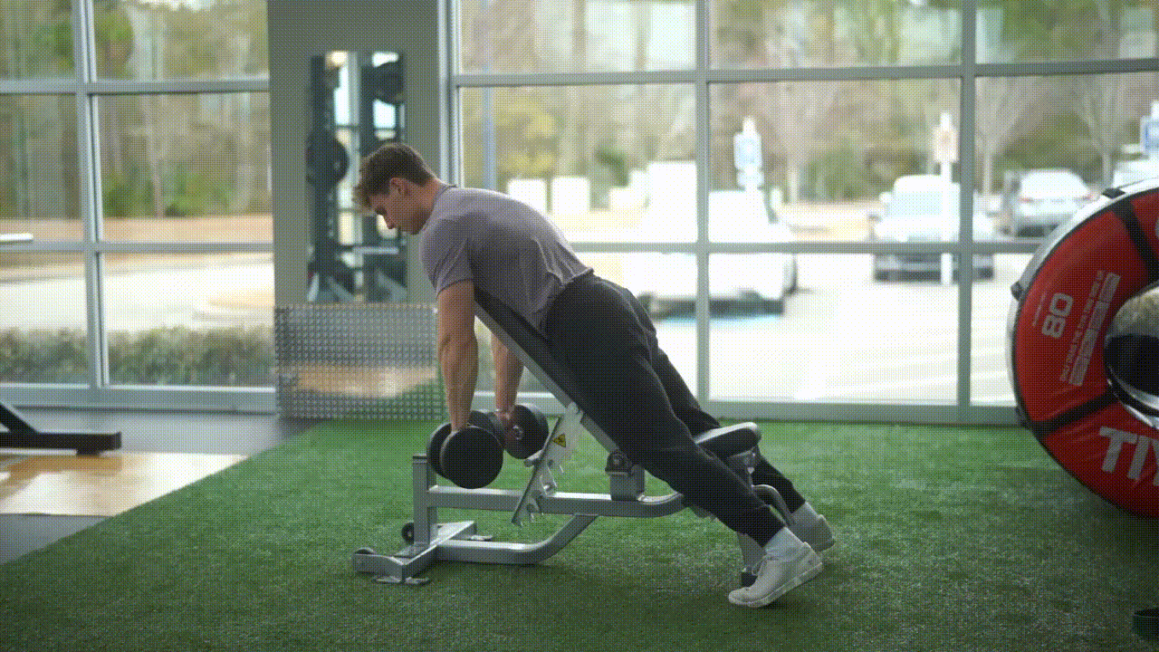 Animated demonstration of the Dumbbell Chest Supported Row