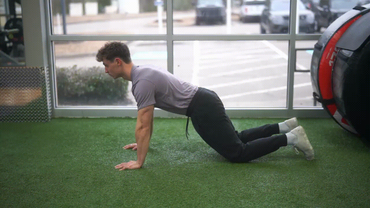 Animated demonstration of the Knee Push-up