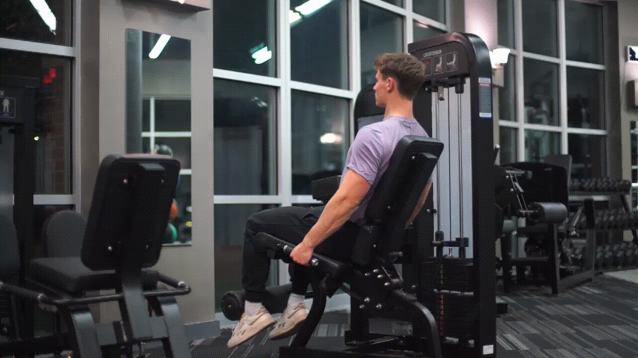 Animated demonstration of the Leg Extension