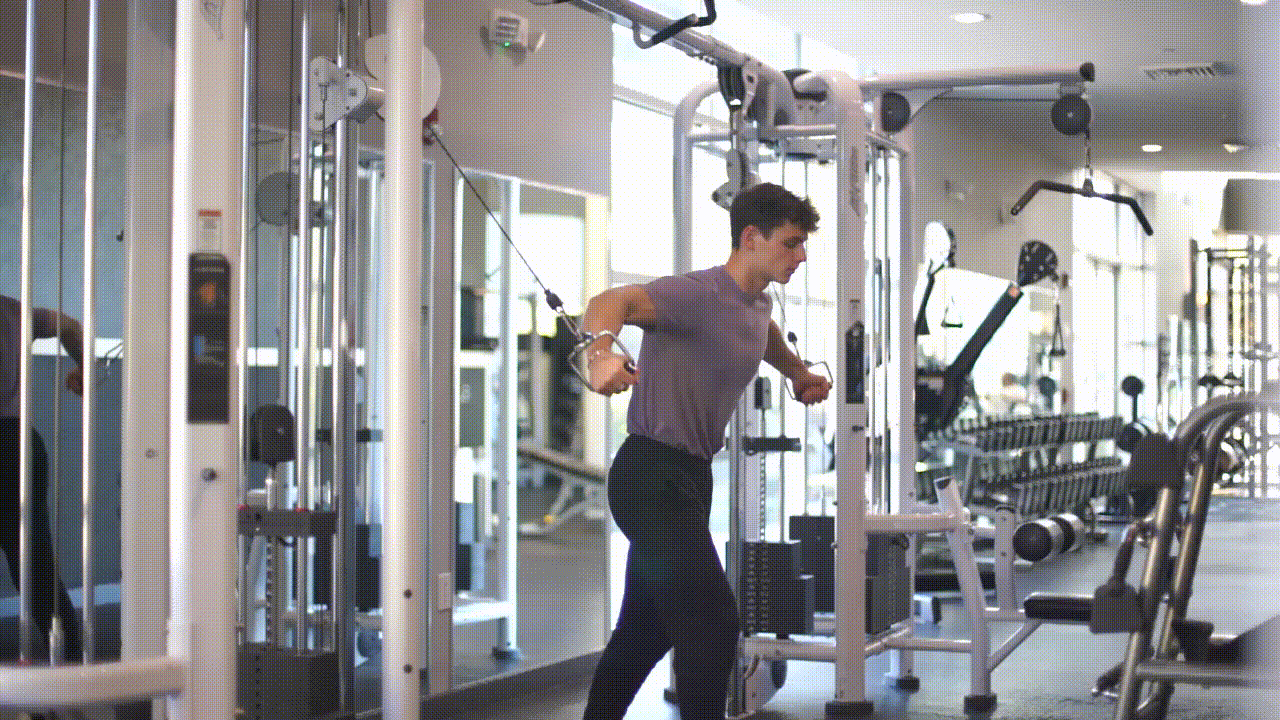Animated demonstration of the Low Chest Flyes
