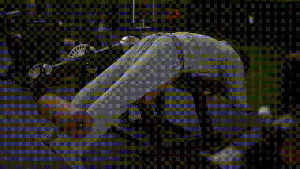 Animated demonstration of the Lying Leg Curl