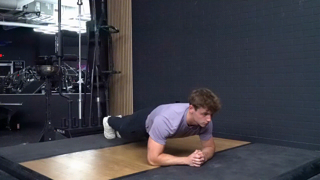 Animated demonstration of the Front Plank