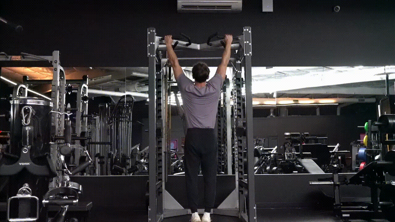 Animated demonstration of the Weighted Pull-up