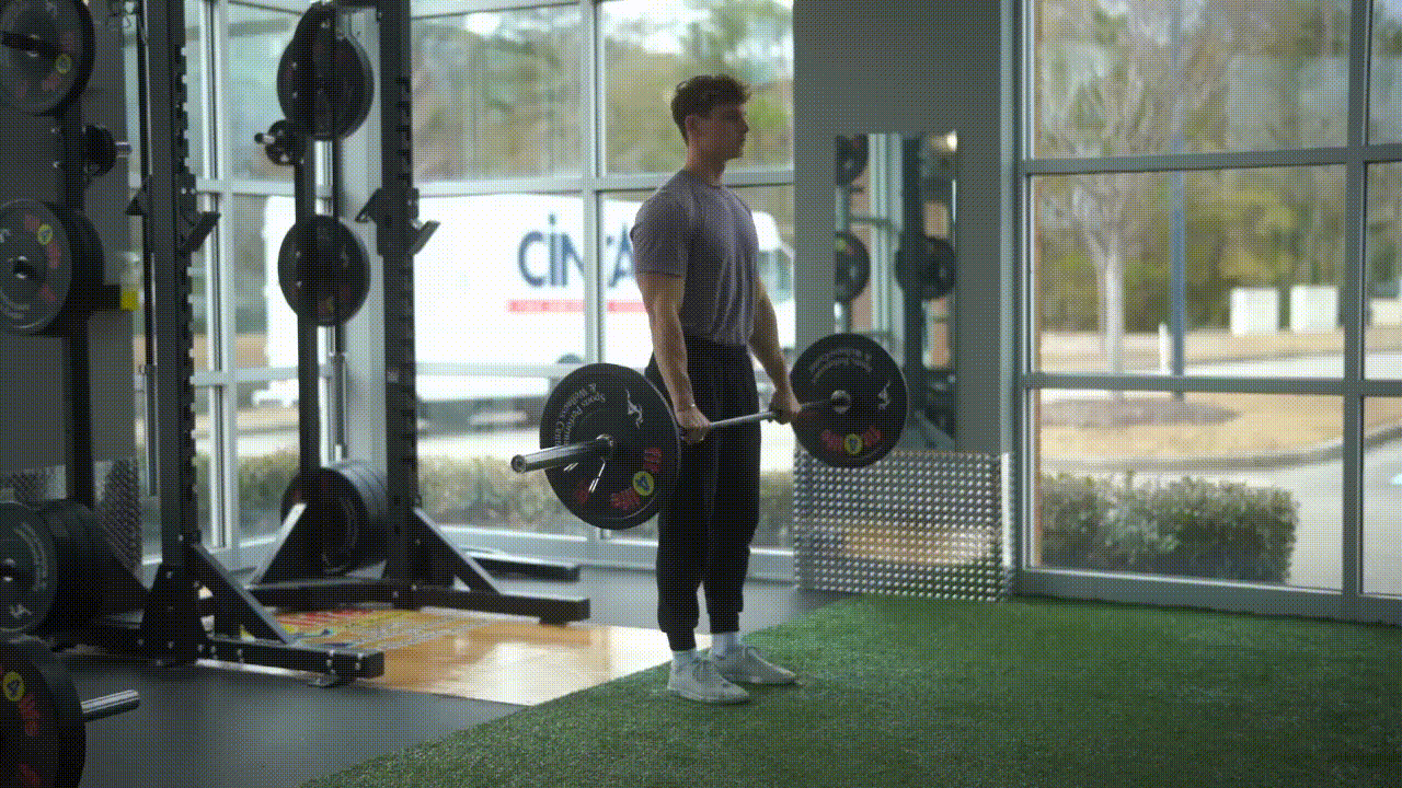 Animated demonstration of the Barbell Reverse Curl