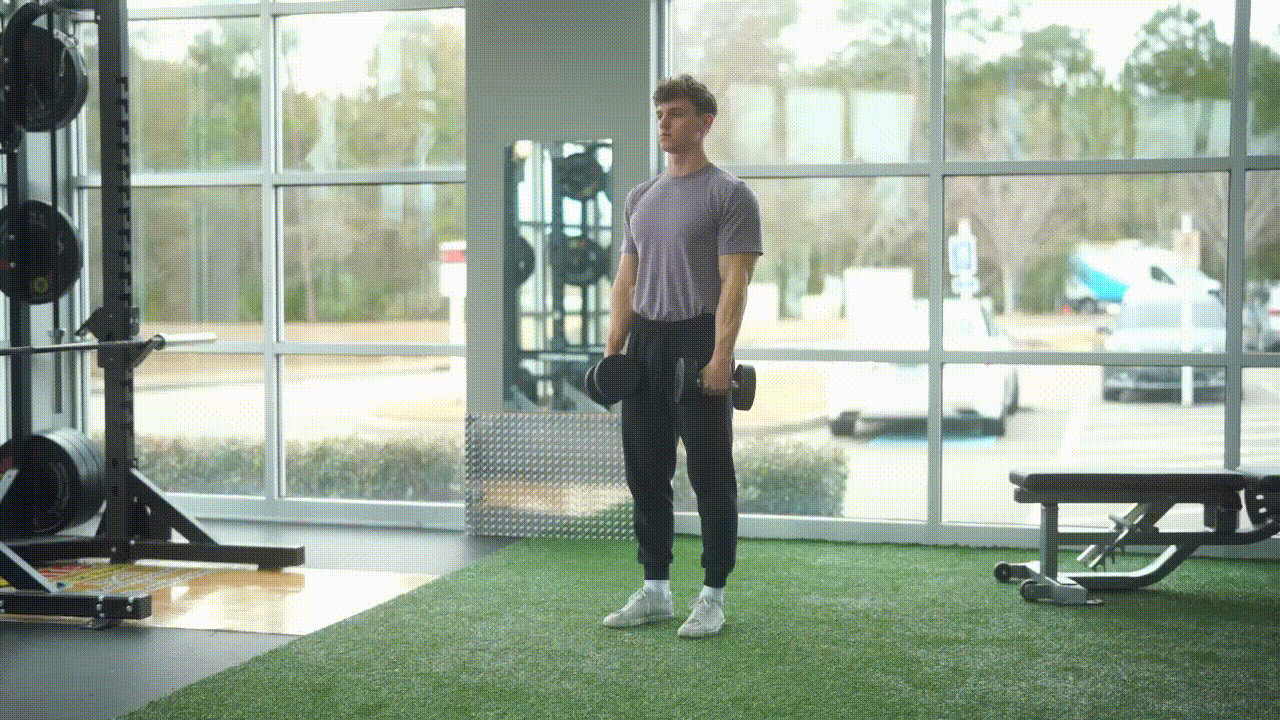 Animated demonstration of the Dumbbell Reverse Curl