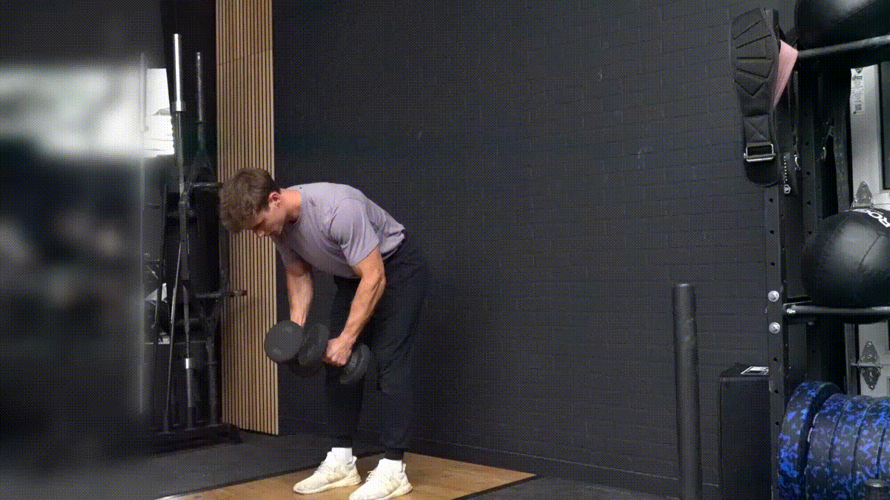 Animated demonstration of the Dumbbell Reverse Flyes