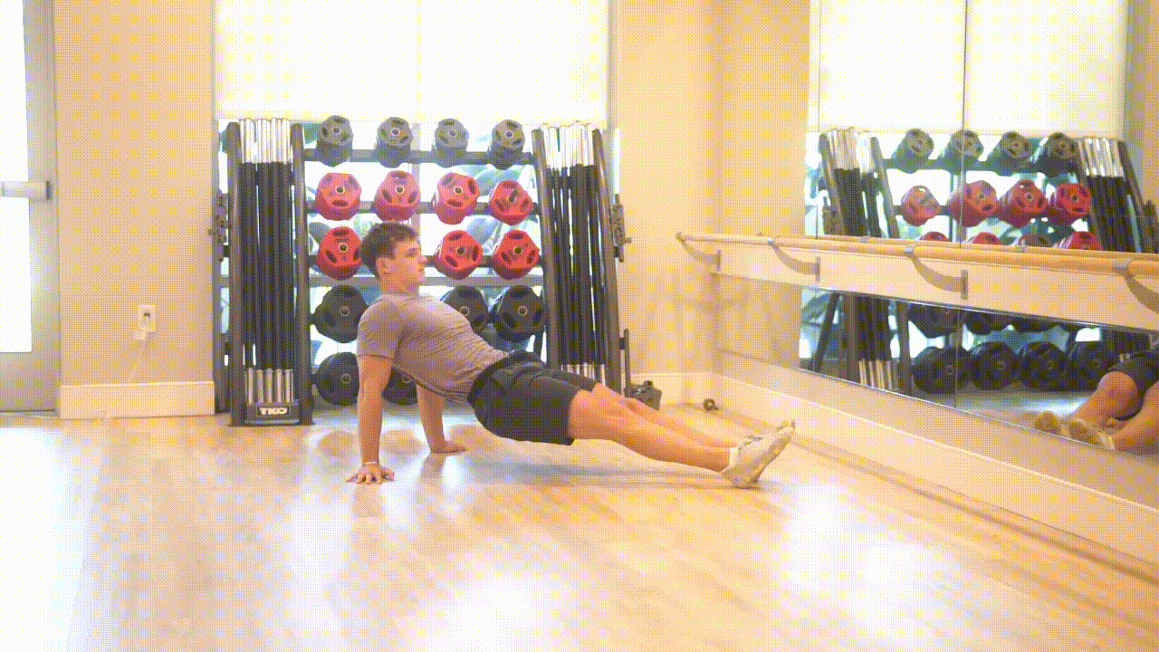 Animated demonstration of the Reverse Plank Dips