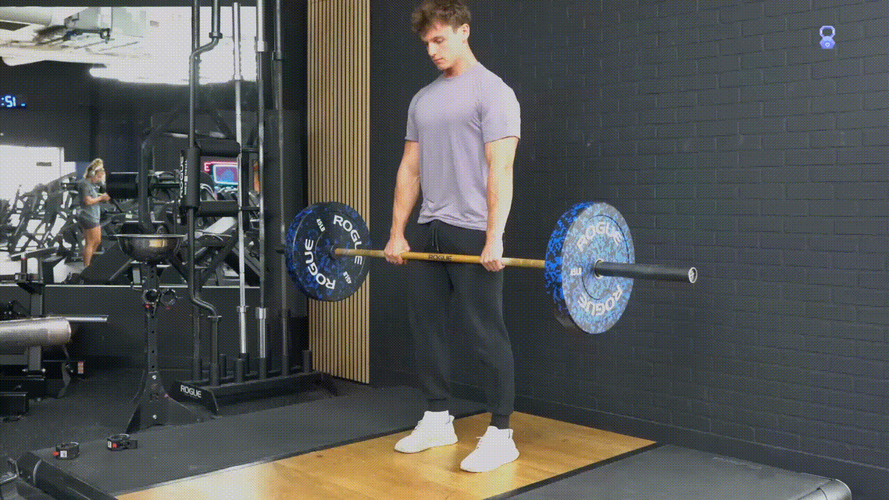 Animated demonstration of the RDL