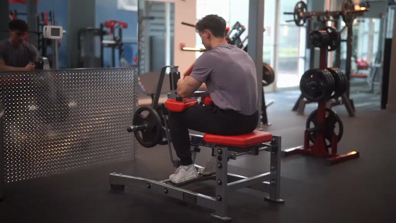 Animated demonstration of the Seated Calf Raise