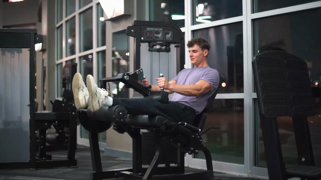 Animated demonstration of the Seated Leg Curl