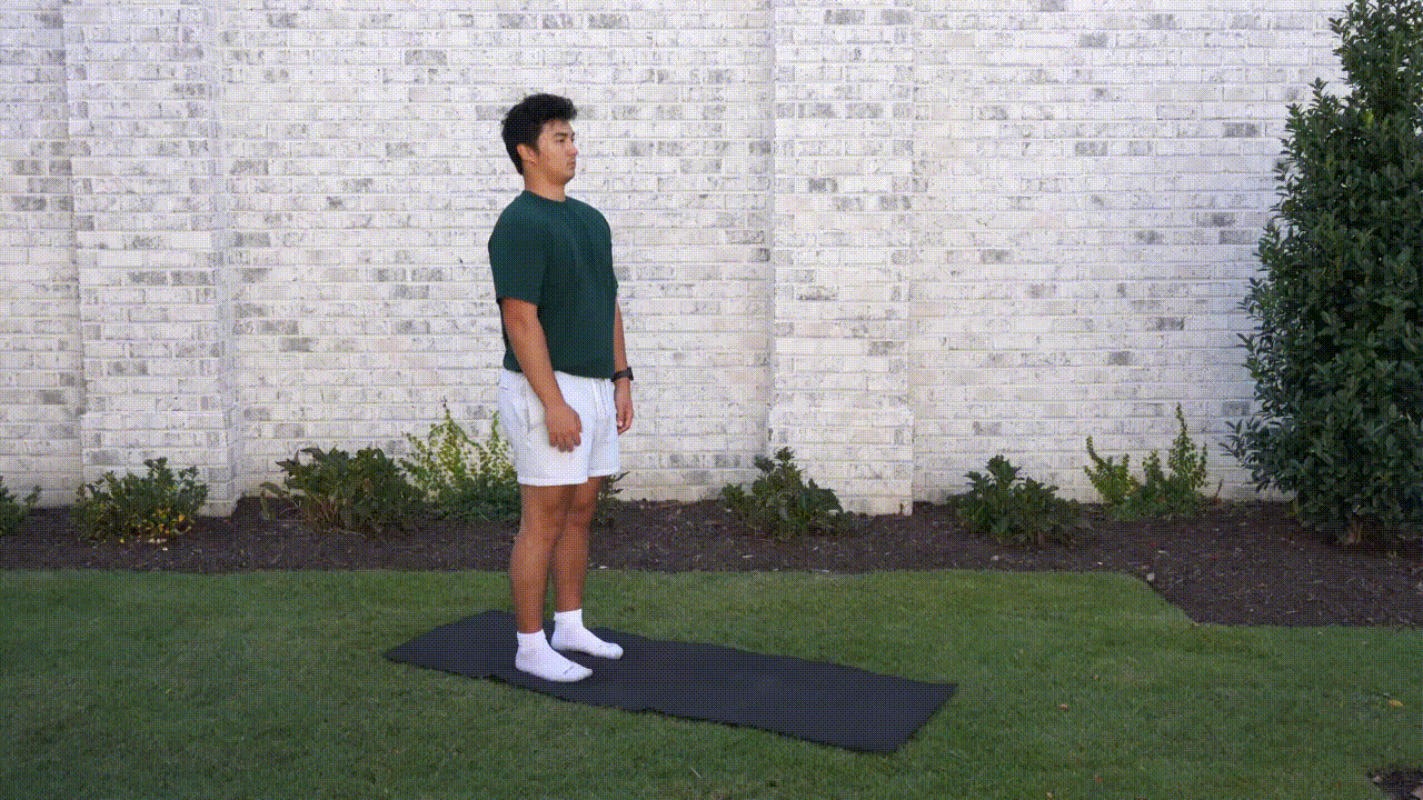 Animated demonstration of the Shoulder Rolls